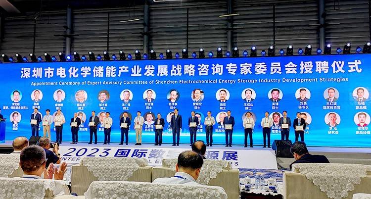 贝特瑞贺雪琴受聘深圳电化学储能产业发展战略咨询专家委员会委员 