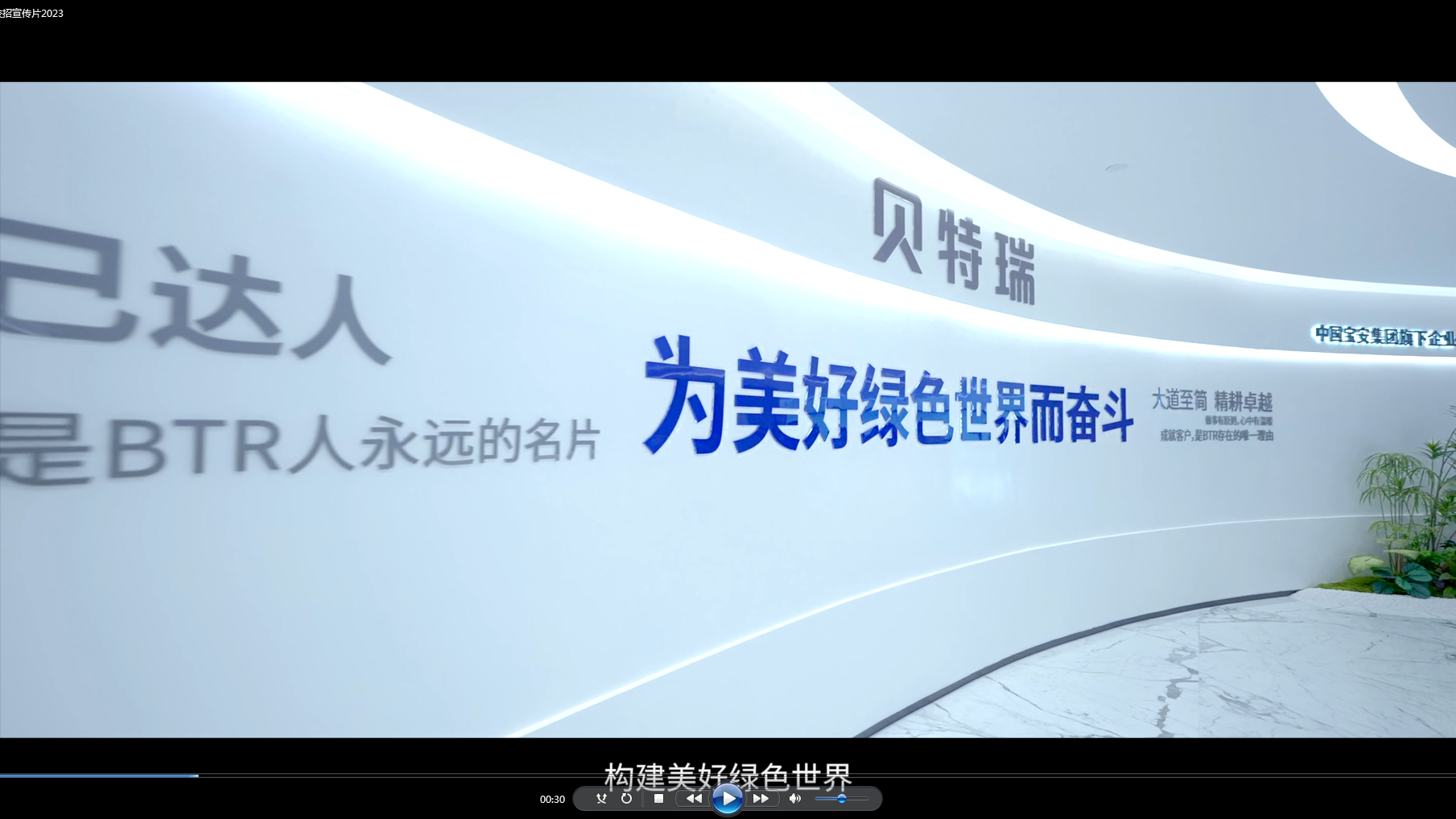 贺雪琴提议“电化学储能”安全技术发展 